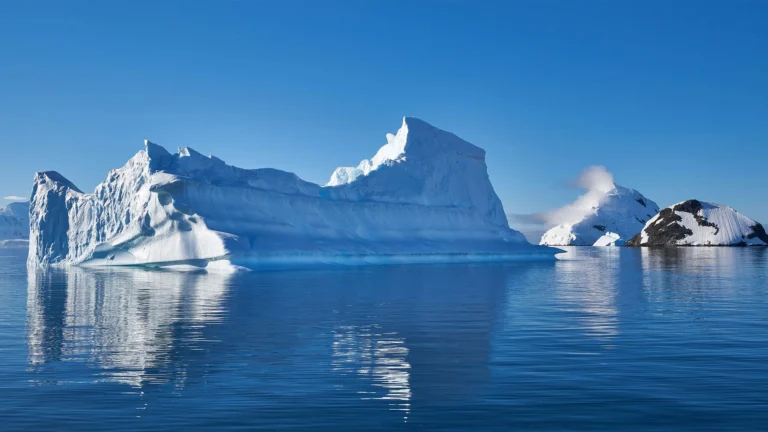Antarctic Discovery