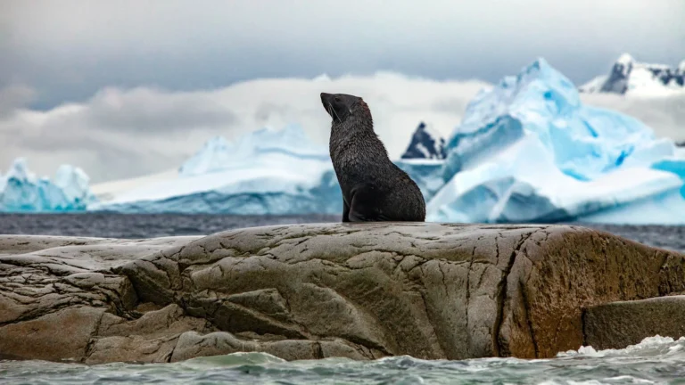 Crossing the Antarctic Circle