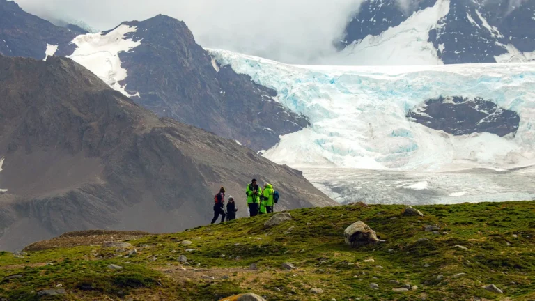 Antarctic Falklands Adventure