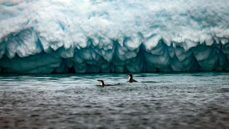 Crossing the Antarctic Circle